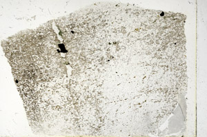 Plane Polarized, N3419