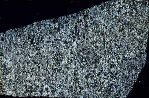 Cross Polarized, N3420