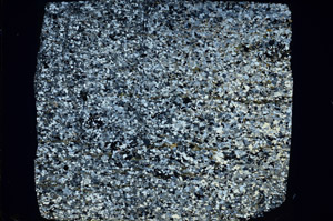 Cross Polarized, N3421