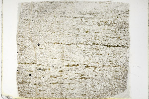 Plane Polarized, N3421