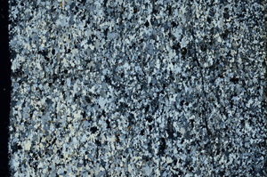 Cross Polarized, N3422