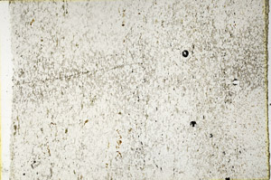 Plane Polarized, N3422