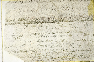 Plane Polarized, N3426