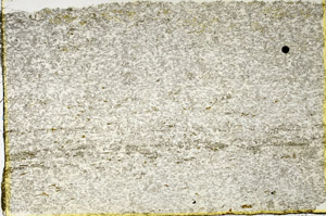 Plane Polarized, N3438