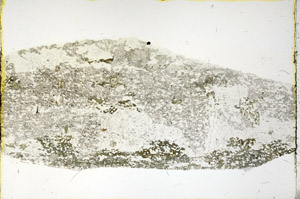 Plane Polarized, N3443/C