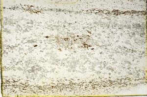 Plane Polarized, N3447