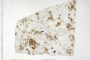 Plane Polarized, N3450