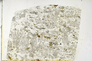 Plane Polarized, N3451
