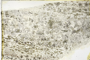 Plane Polarized, N3453
