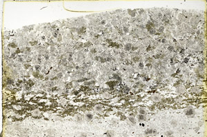 Plane Polarized, N3454