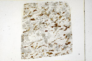Plane Polarized, N3456