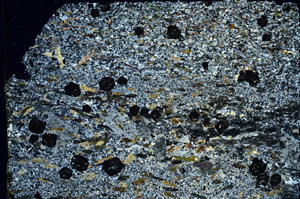 Cross Polarized, N3457