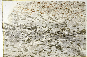 Plane Polarized, N3457