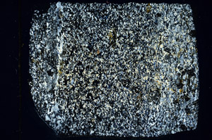 Cross Polarized, N3460