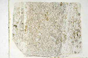 Plane Polarized, N3460