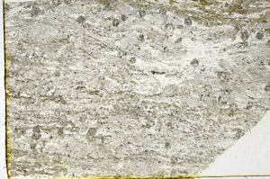 Plane Polarized, N3461