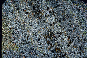 Cross Polarized, N3463
