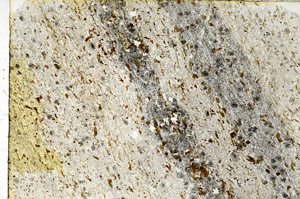 Plane Polarized, N3463
