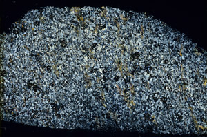 Cross Polarized, N3465
