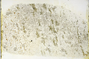 Plane Polarized, N3465