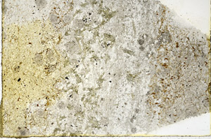 Plane Polarized, N3466
