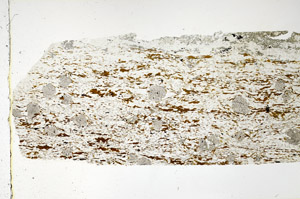 Plane Polarized, N3467