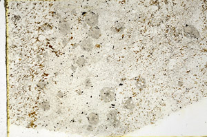 Plane Polarized, N3468