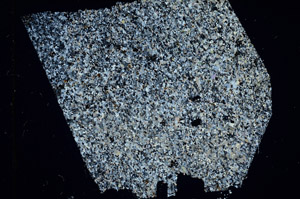 Cross Polarized, N3470/b