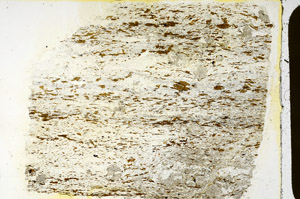 Plane Polarized, N3471