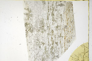 Plane Polarized, N3473