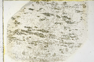 Plane Polarized, N3474