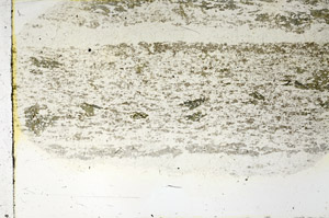 Plane Polarized, N3475