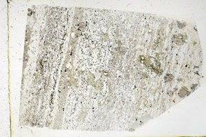 Plane Polarized, N3477