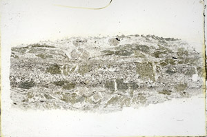 Plane Polarized, N3478