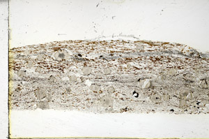 Plane Polarized, N3479