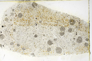 Plane Polarized, N3481