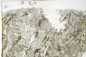 Plane Polarized, N3482