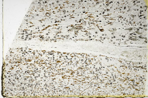 Plane Polarized, N3483/A