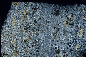 Cross Polarized, N3484