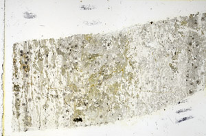 Plane Polarized, N3487