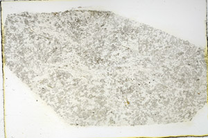 Plane Polarized, N3487/A