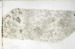 Plane Polarized, N3489