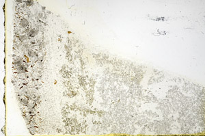 Plane Polarized, N3489/B