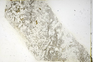 Plane Polarized, N3490