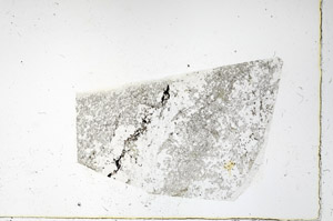 Plane Polarized, N3490/b