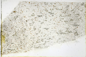 Plane Polarized, N3490/c