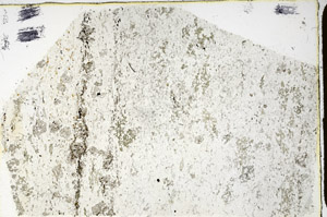 Plane Polarized, N3491