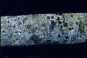 Cross Polarized, N3496