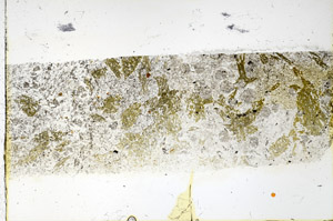 Plane Polarized, N3496