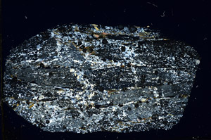 Cross Polarized, N3518